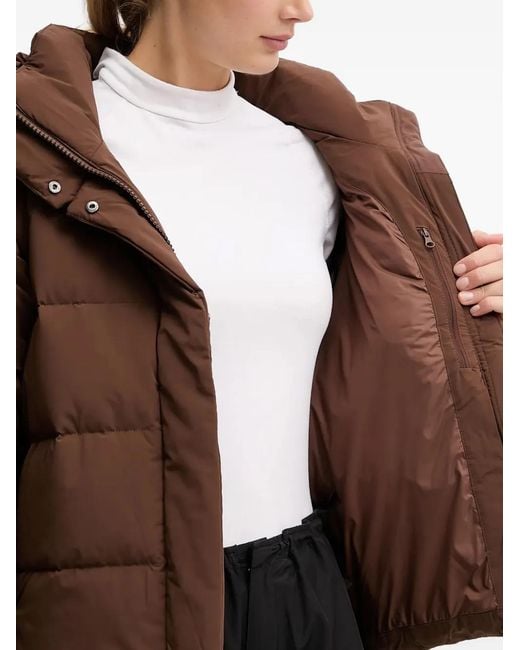 Columbia Brown Amaze Puff Hooded Jacket