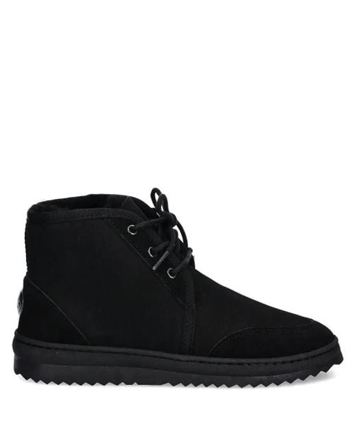 EMU Black Lace-Up Suede Desert Boots for men