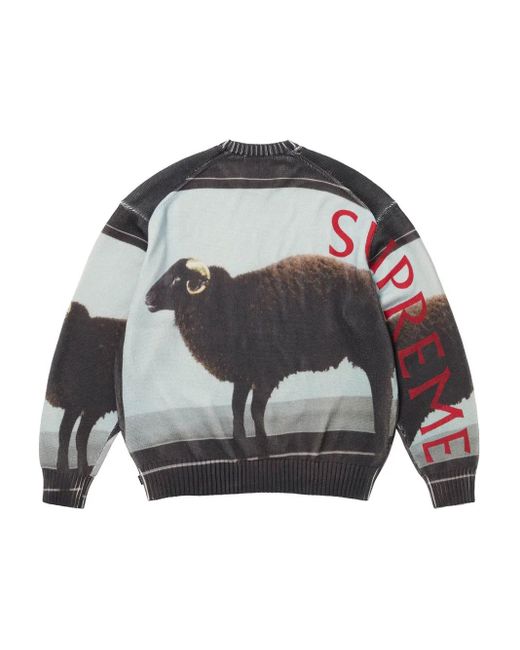 Supreme Gray X Damien Hirst Intarsia-Knit Sweater for men
