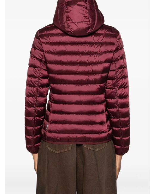 Save The Duck Red Alexis Hooded Zip-Up Jacket