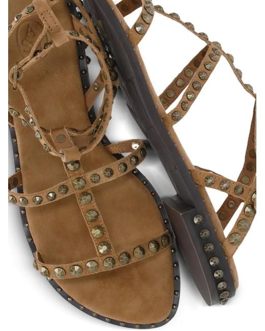 Ash Brown Precious Sandals