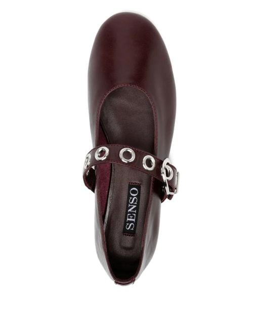 Ballerines Camille I Senso en coloris Brown