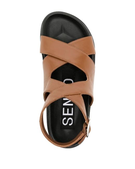 Senso Noah Sandalen Met Open Neus in het Brown