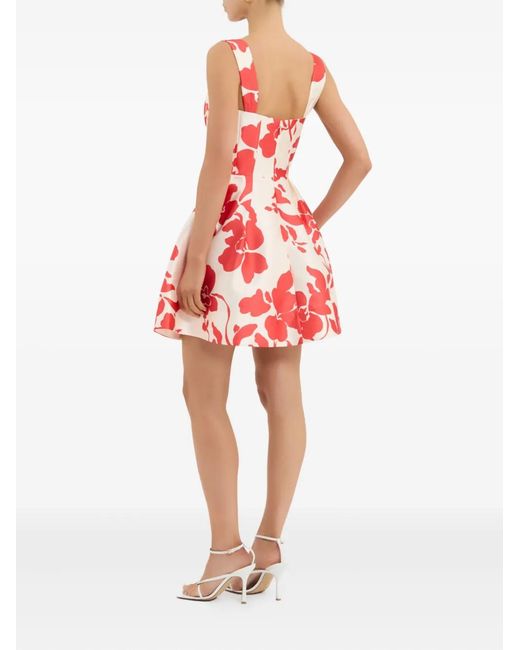 Rebecca Vallance Red Floral Mayari Mini Dress