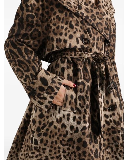 Dolce & Gabbana Multicolor Manteau De Perçage En Coton Imprimé Leo À Double Boutonnage