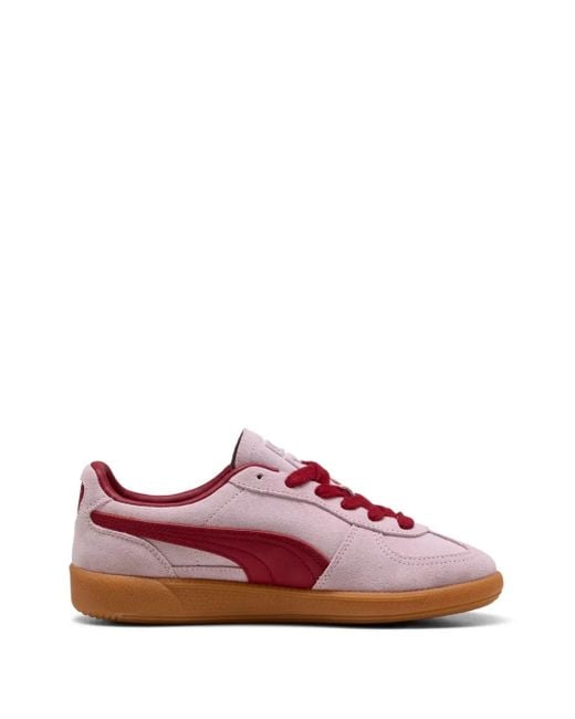 PUMA Pink Palermo Trainers