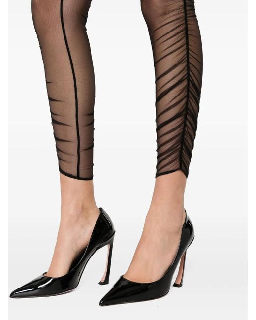 Maison Close Gray Nuit Fauve Leggins