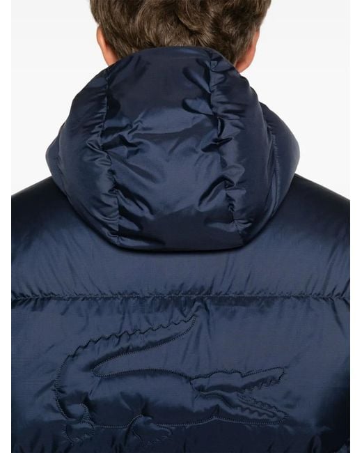 Lacoste Blue Hooded Padded Jacket for men