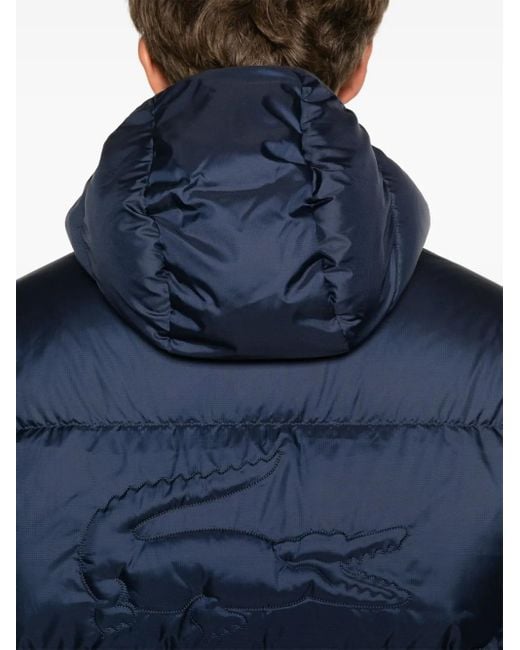 Lacoste Blue Hooded Padded Jacket for men