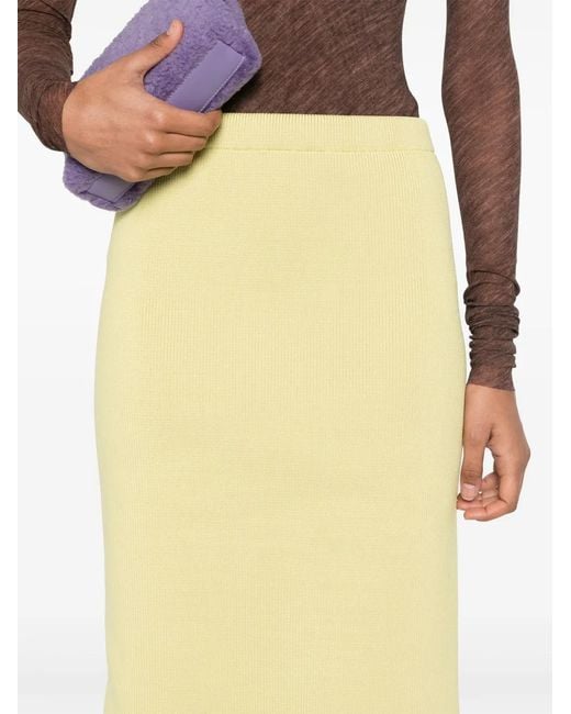 Philosophy Di Lorenzo Serafini Natural Ribbed-Knit Skirt