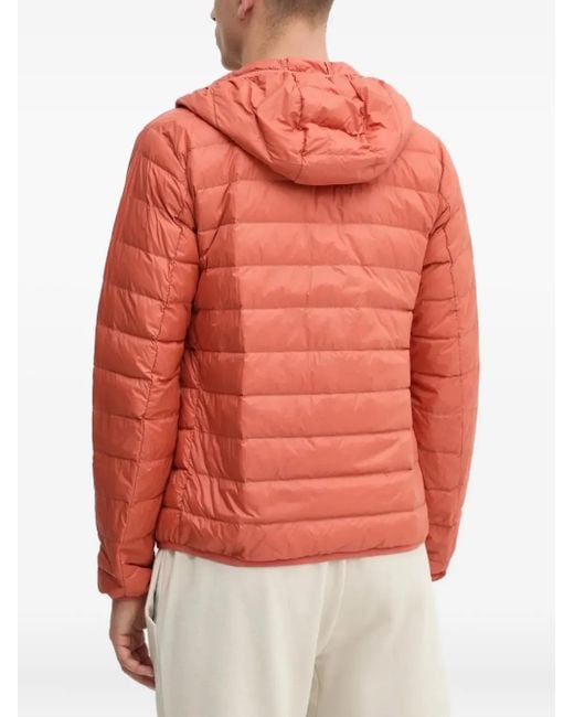 EA7 Red Veste Matelassée À Capuche for men