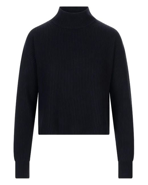 Max Mara Blue Studio Fufy Sweater