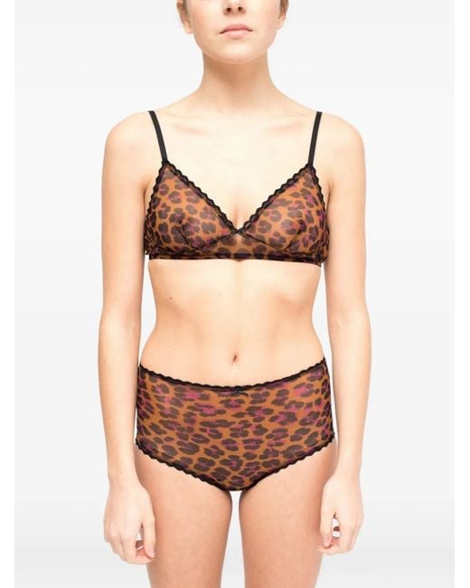 Laura Urbinati Brown Leopard-Print Lace-Trim Briefs
