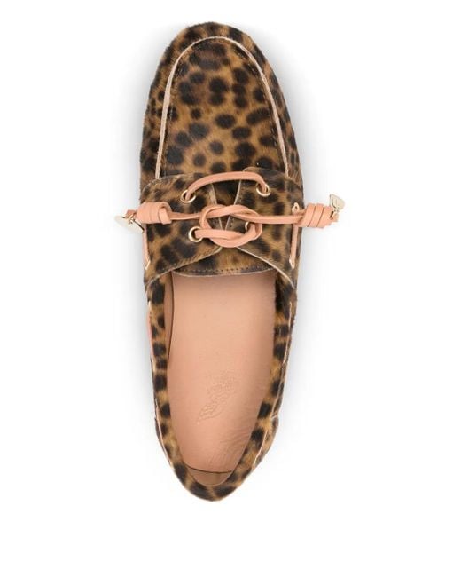Ancient Greek Sandals Brown Pliaria Leopard-Print Boat Shoes