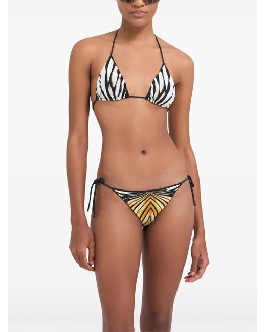 Roberto Cavalli Black Ray Of-Print Bikini Top