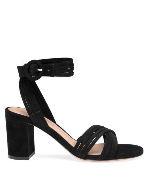 Gianvito Rossi Lianne 70mm サンダル Black