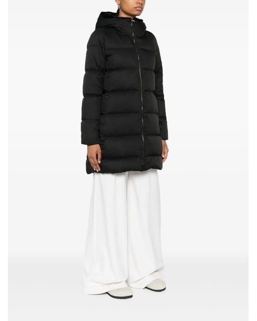 Herno Black Coats