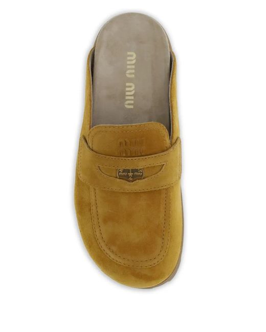 Miu Miu Brown Mules En Daim À Mors