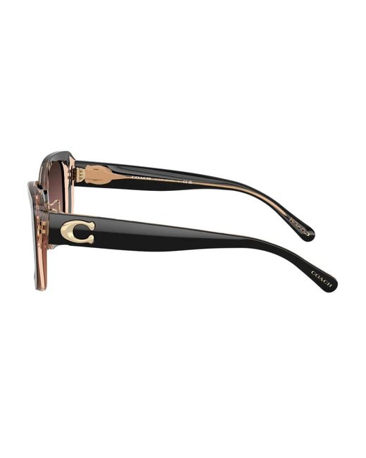 COACH Brown Oversized-Frame Sunglasses