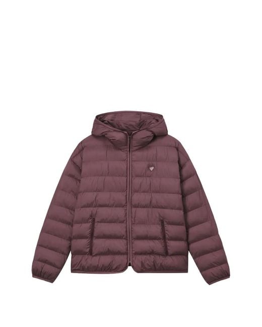 Chocoolate Purple Hooded Padded Jacket