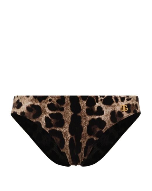 Dolce & Gabbana Black Leopard-print Bikini Bottoms