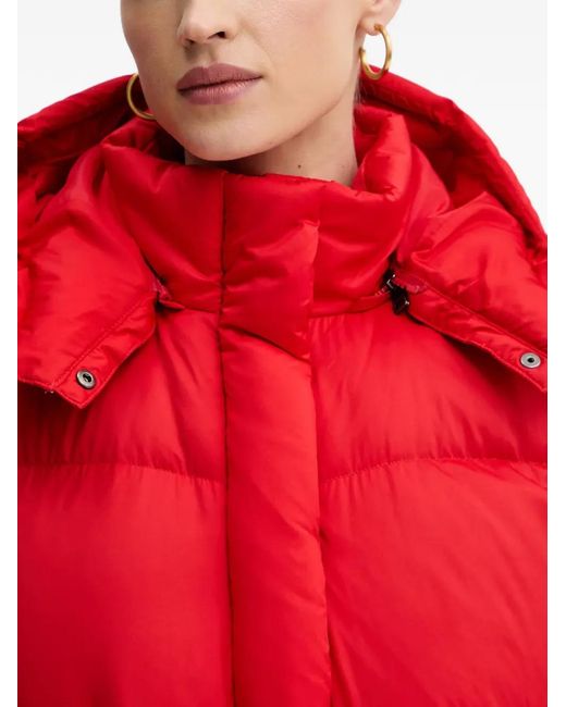 Levi's Red Hooded Puffer Jacket