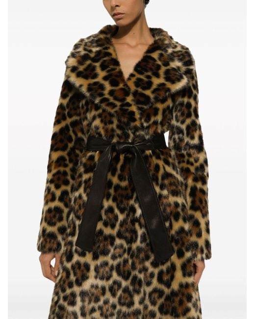Manteau en fourrure artificielle à imprimé léopard Dolce & Gabbana en coloris Brown