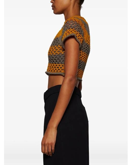 DIOTIMA Brown Rae Crocheted Short-Sleeve Top