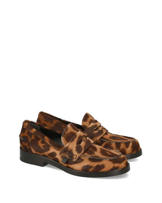 Premiata Brown Siria Loafers