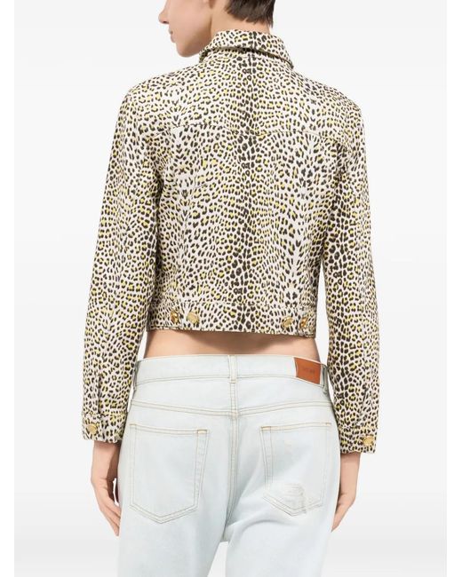 Roberto Cavalli White Pop Jaguar Jacket