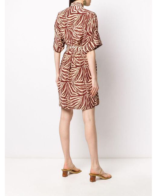 zimmermann zebra dress