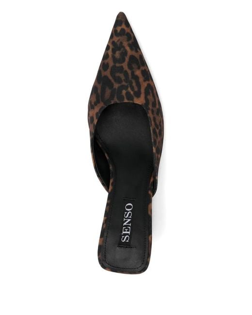 Senso Brown 65Mm Tabatha Mules