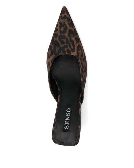 Senso 65 Mm Tabatha Muiltjes in het Brown