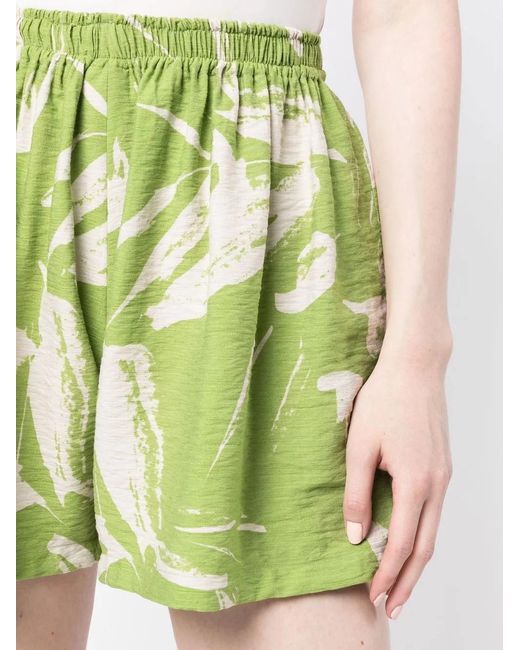 Bambah Green Linden Leaf-Print Shorts