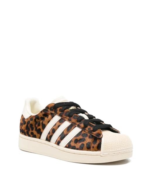 Adidas Brown Sneakers