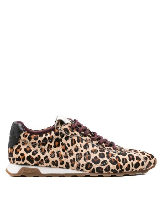 Ash Brown Sneakers