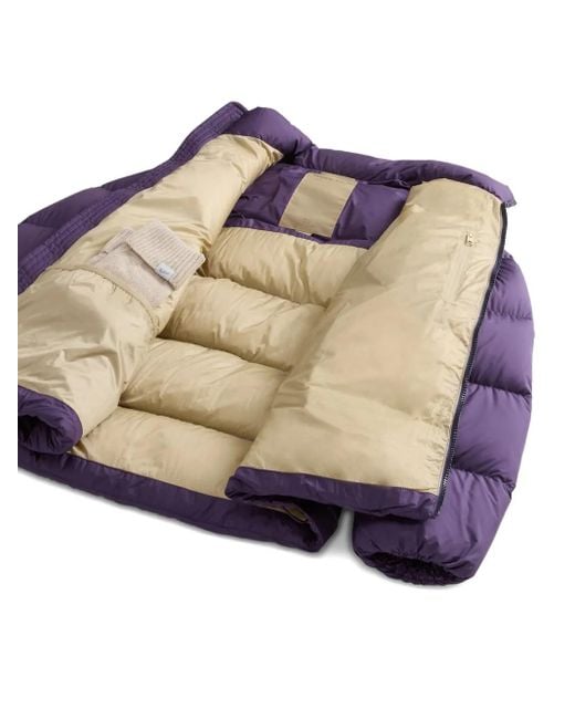 Plumífero con cuello alto Woolrich de hombre de color Purple