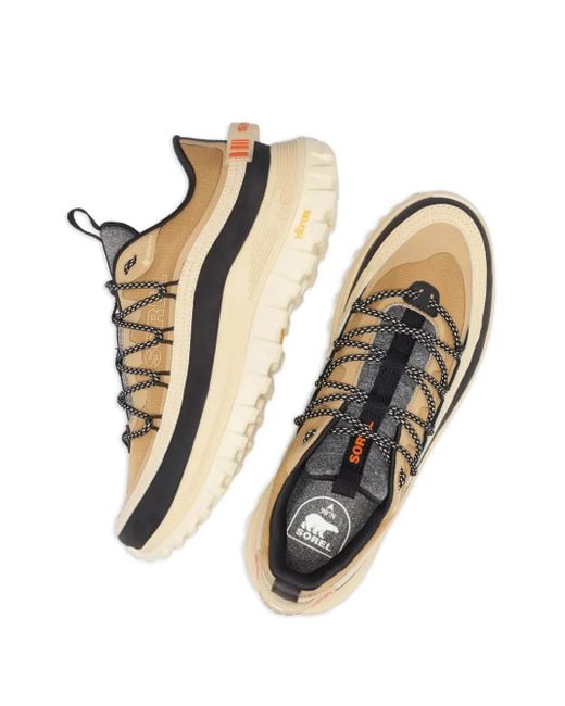 Sorel Callsign Horizon Gtx スニーカー Multicolor