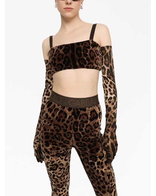 Dolce & Gabbana Brown Leopard-Print Sleeveless Crop Top