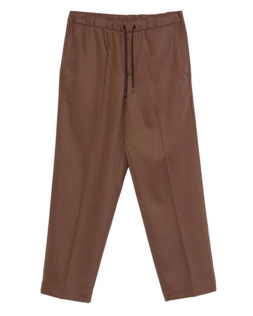Costumein Brown Drawstring Trousers for men