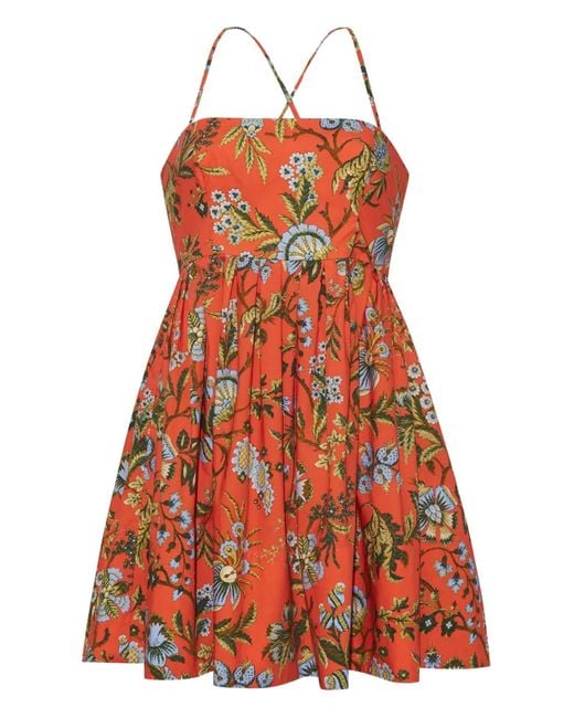 Cara Cara Red Leo Floral Mini Dress