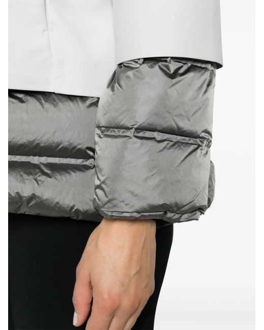 Rrd Gelaagd Jack in het Gray