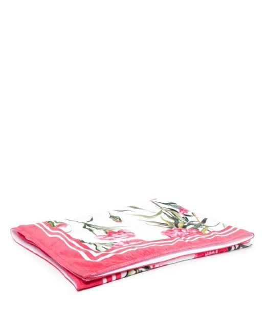 Telo Da Mare A Fiori di Dolce & Gabbana in Pink
