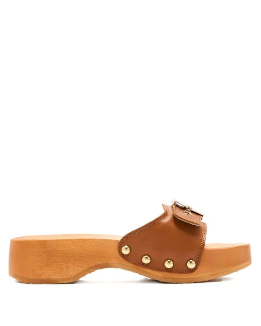 Scholl Pescura 45mm スタッズ サンダル Brown