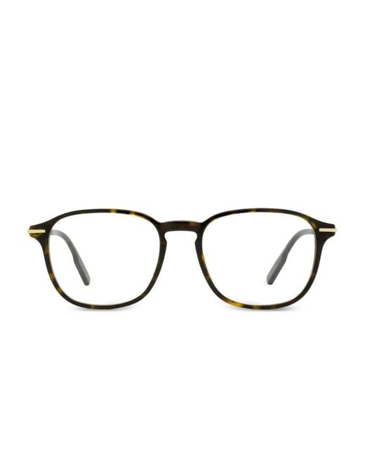 Zegna Brown 5229 Optical Frames for men