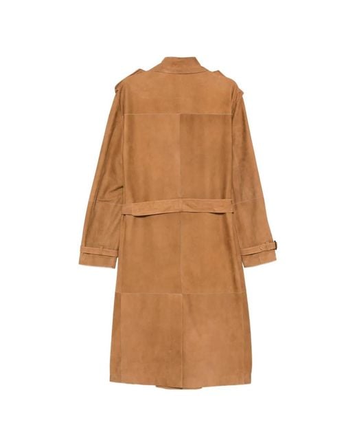 Canali Brown Trench Coats for men