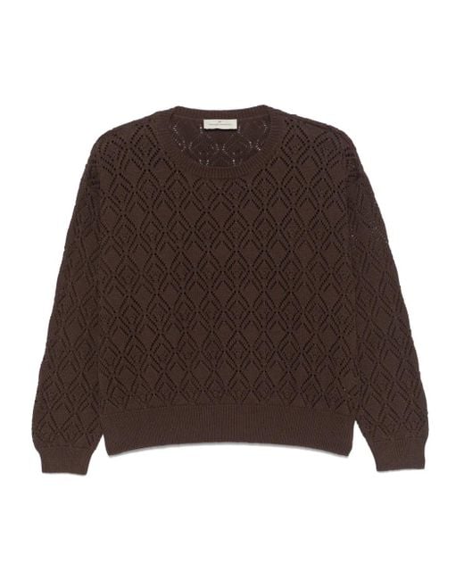 Bruno Manetti Brown Pointelle-Knit Sweater