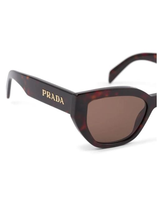 Prada Brown Cat-Eye Sunglasses
