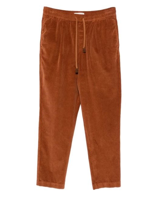 Jacob Cohen Ribfluwelen Broek in het Brown voor heren
