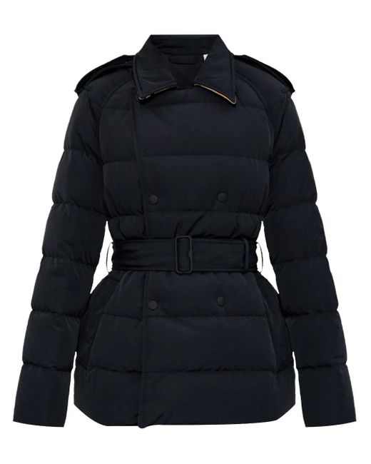 Burberry パデッドジャケット Blue
